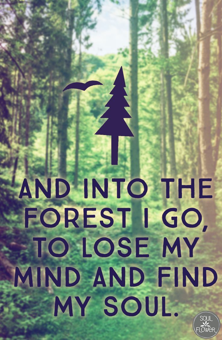 “And into the forest I go, to lose my mind and find my soul.” #treehugger…