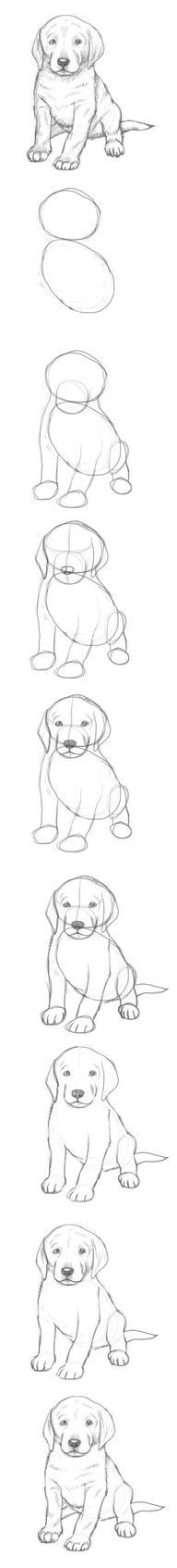 how to draw a puppy More