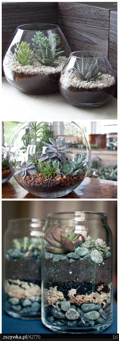 How to make small succulent gardens that look amazing and take only a few minutes!