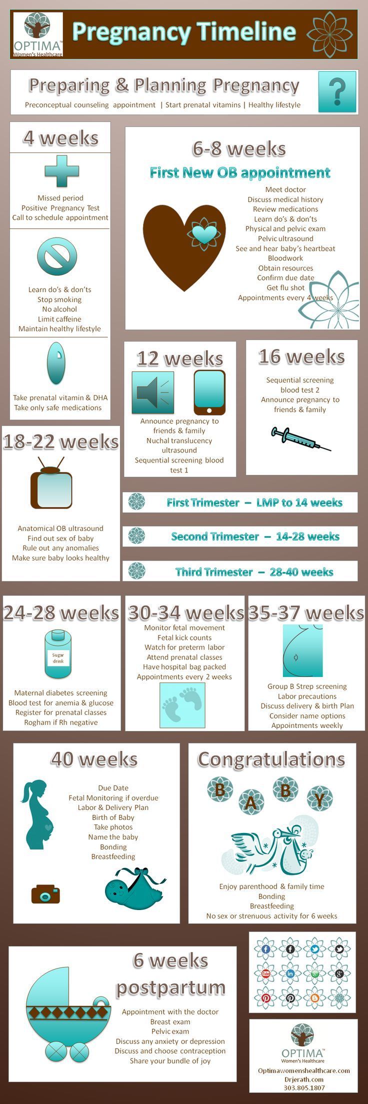 OptimaWHC Pregnancy Timeline for preparing and planning pregnancy.