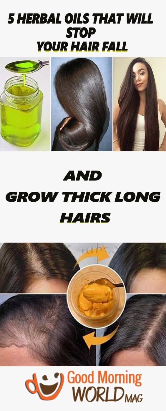 5 HERBAL OILS THAT WILL STOP YOUR HAIR FALL AND GROW THICK LONG HAIRS