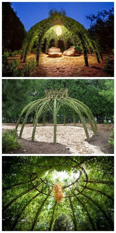 all-garden-world: Living willow structure