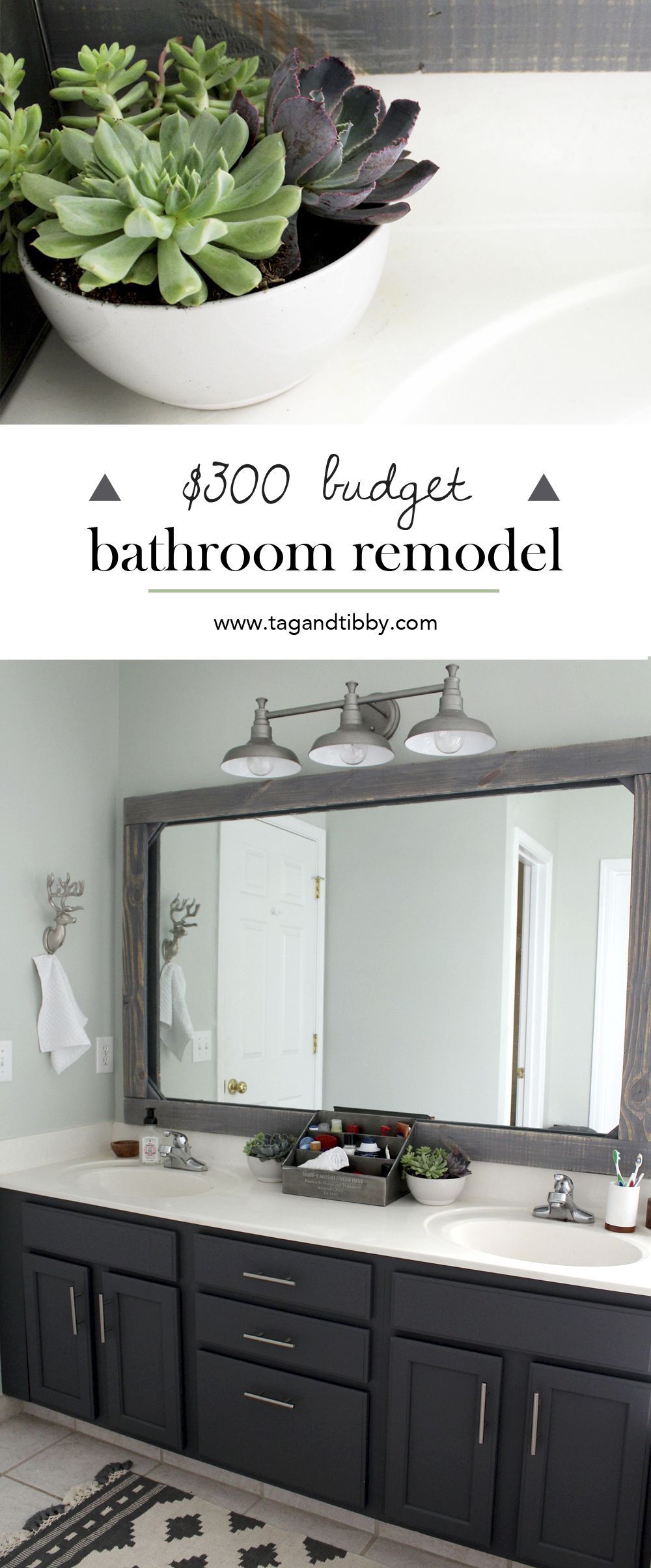 check out this mast bathroom remodel for $300! SW Sea Salt walls with SW Peppercorn cabinets