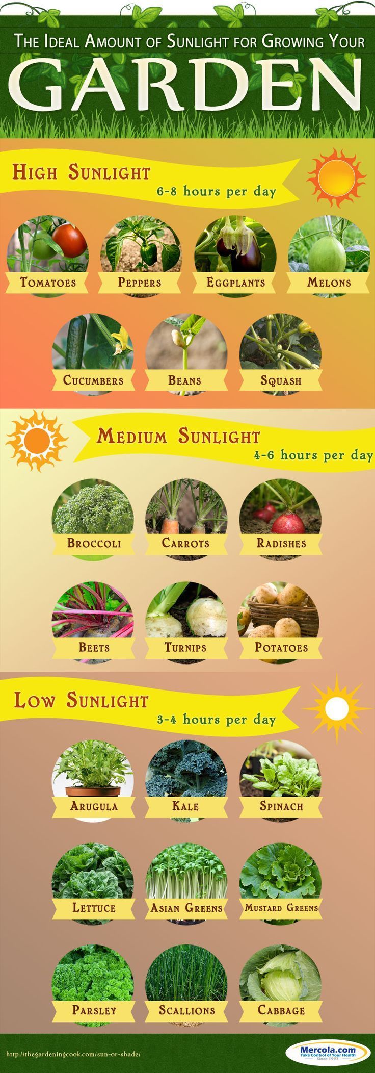 cool The Ideal Amounts of Sunlight for Growing Your Garden