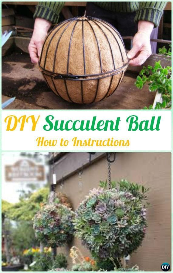 DIY Hanging Succulent Ball Sphere Planter Instruction- DIY Indoor  #Succulent Garden Ideas Projects