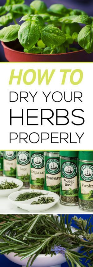 Easily learn how to harvest and dry your own herbs properly for the best flavor!