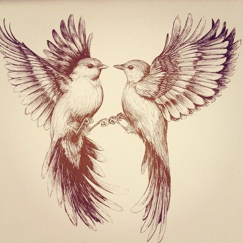 Flying bird drawing by Linn Warme