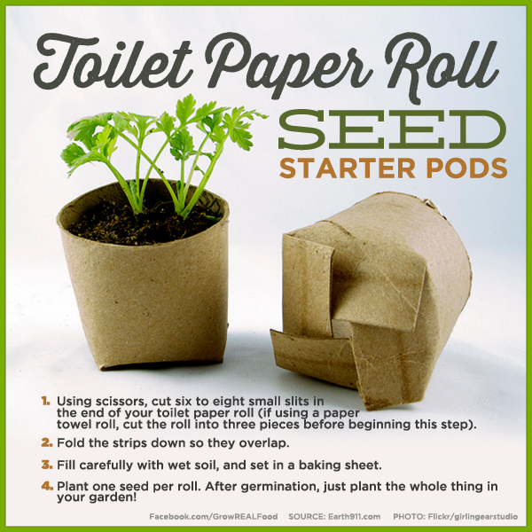 Toilet Paper Roll Seed Starter Pods | save money by making your own seed starter pods using toilet rolls or paper towel rolls
