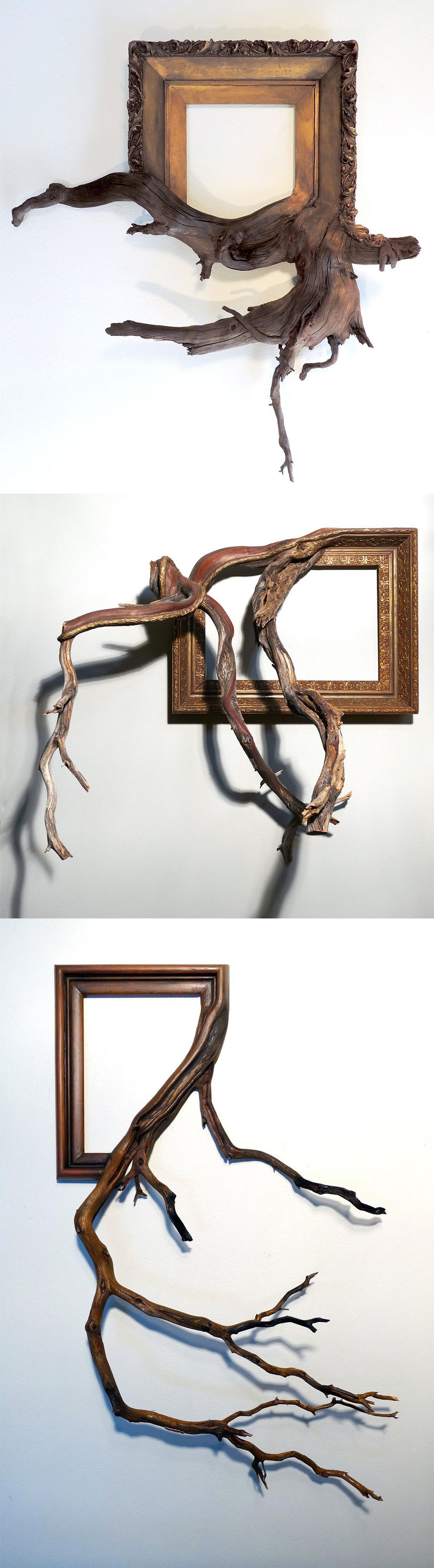 Twisted Tree Branches Fused with Ornate Picture Frames by Darryl Cox