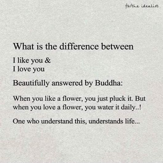 What is the difference between I like you & I love you Beautifully answered by Buddha When you like a flower, you just pluck it.
