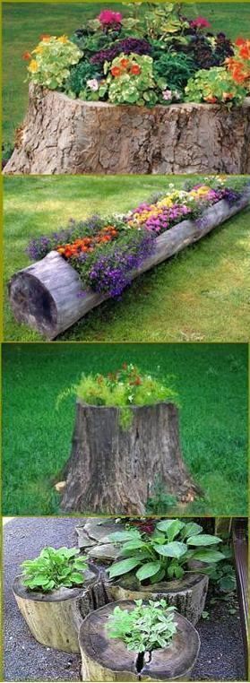 all-garden-world: Log Planter & Log Mushrooms Step