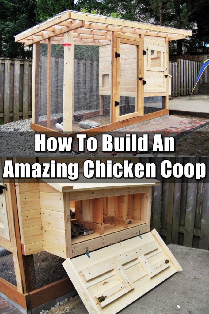 How To Build An Amazing Chicken Coop – Having chickens is rewarding and just pure awesomeness rolled into one. Make sure you have