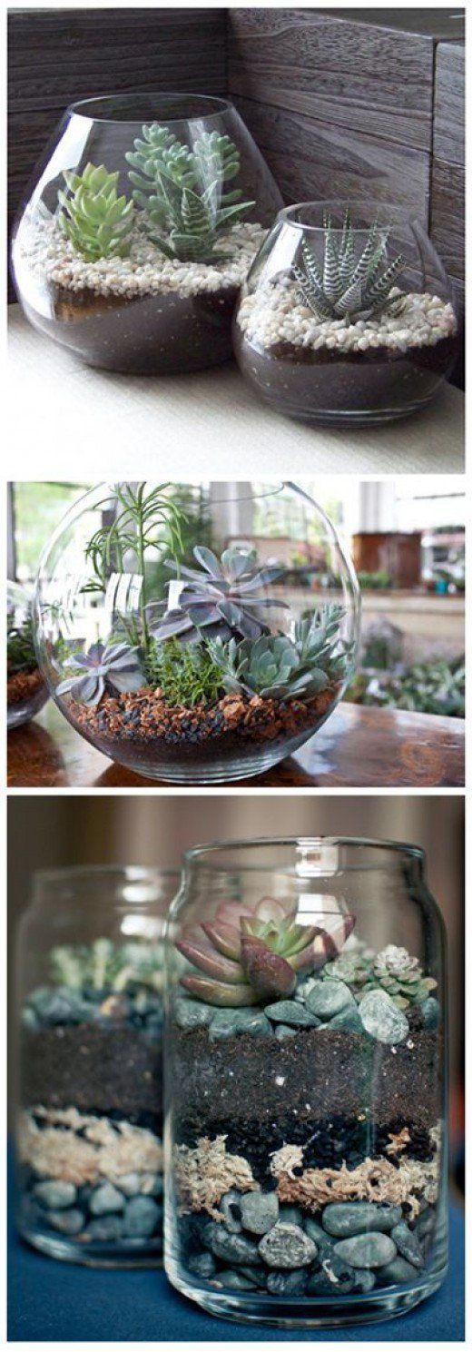 Indoor terrarium succulent gardens. If there is no hole, some absorbent matter should be put into the bottom with the