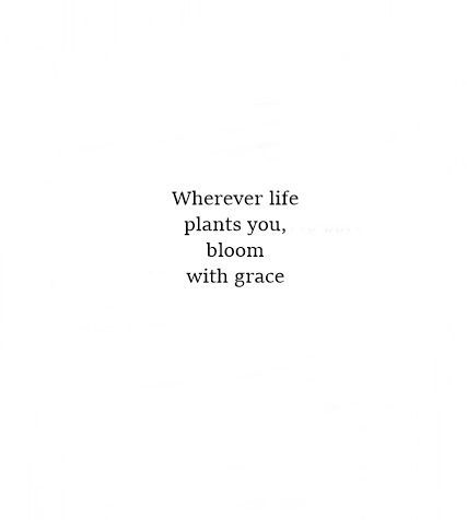 Quote | “Wherever life plants you, bloom with grace.”