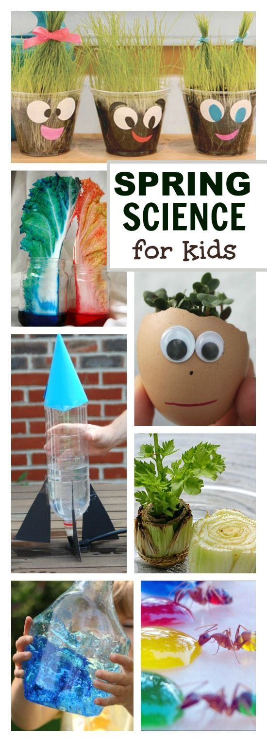 SPRING SCIENCE FOR KIDS- 30 FUN ACTIVITIES!