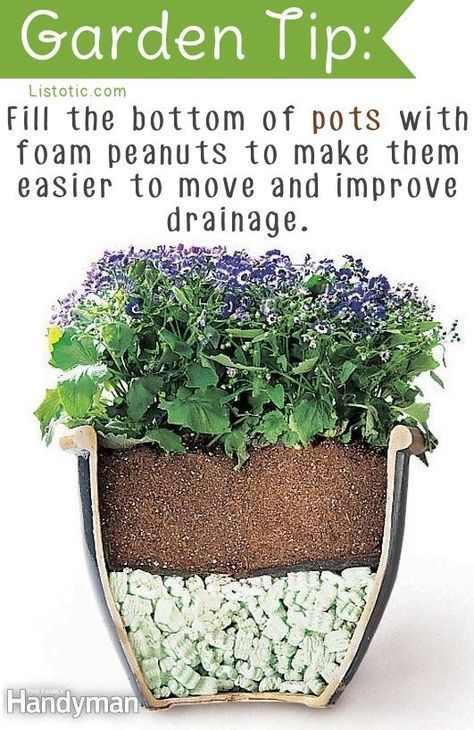 20 Insanely Clever Gardening Tips And Ideas…some really really good ideas, though a few might need some tweaking.