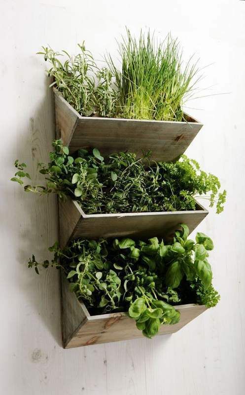 21 Decorative indoor herb garden ideas while remodelling your kitchen – centophobe.com/… –
