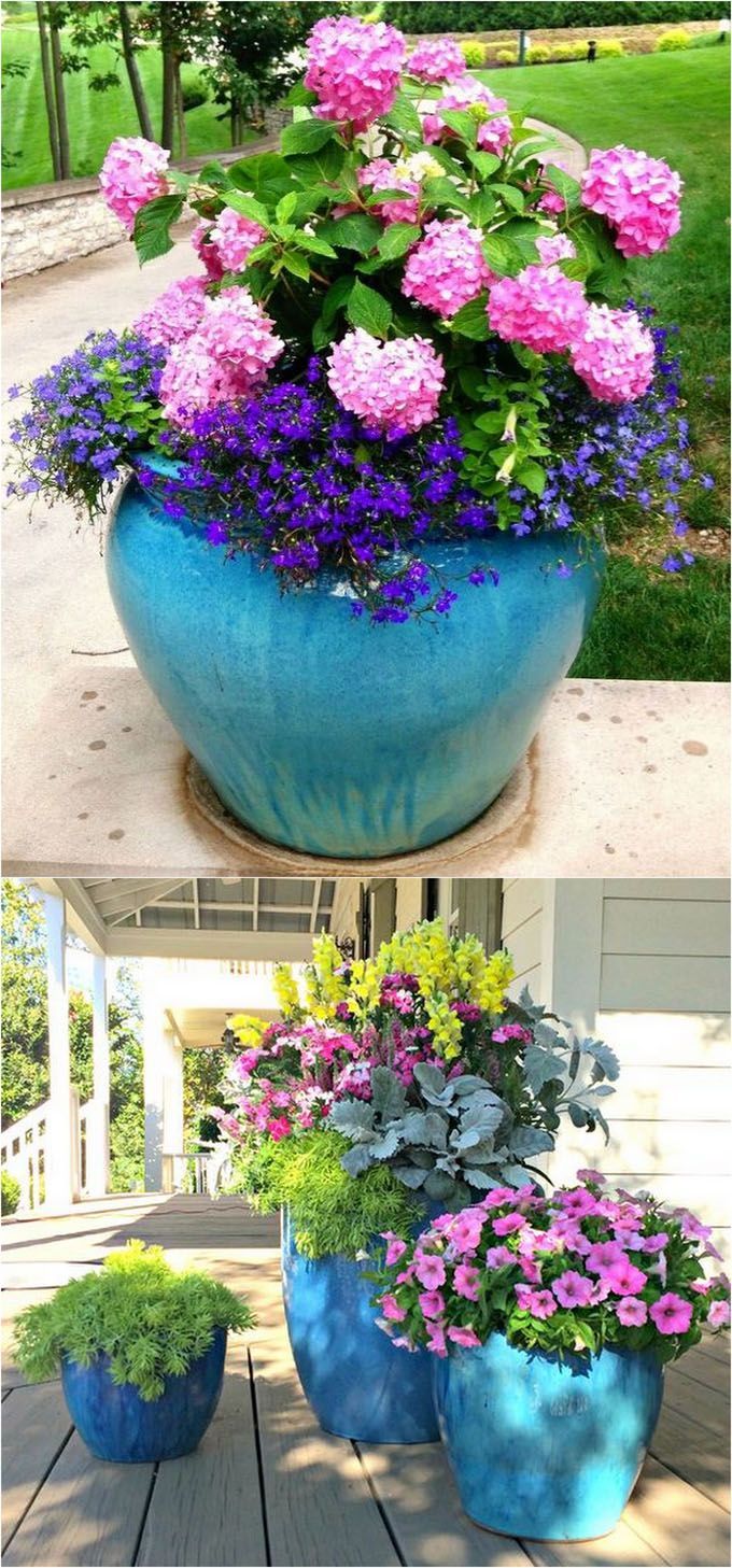 24 stunning container garden designs with plant list for each and lots of inspirations! Learn the designer secrets to these