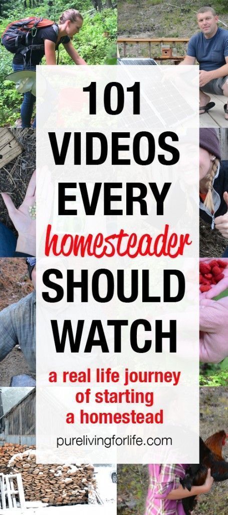 A real life documentation of a young couple starting a homestead from scratch… also known as your next favorite “tv show”!