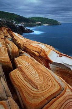 Bouddi National Park Australia