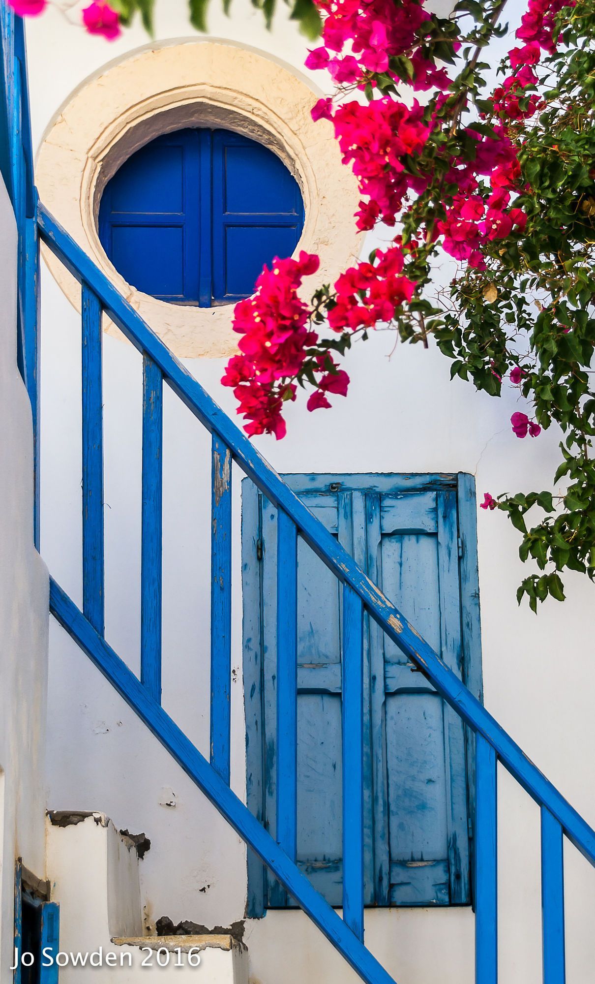 Bougainvillea in Sifnos, Greece