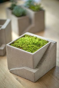 Cement Architectural Plant Cube Planter I