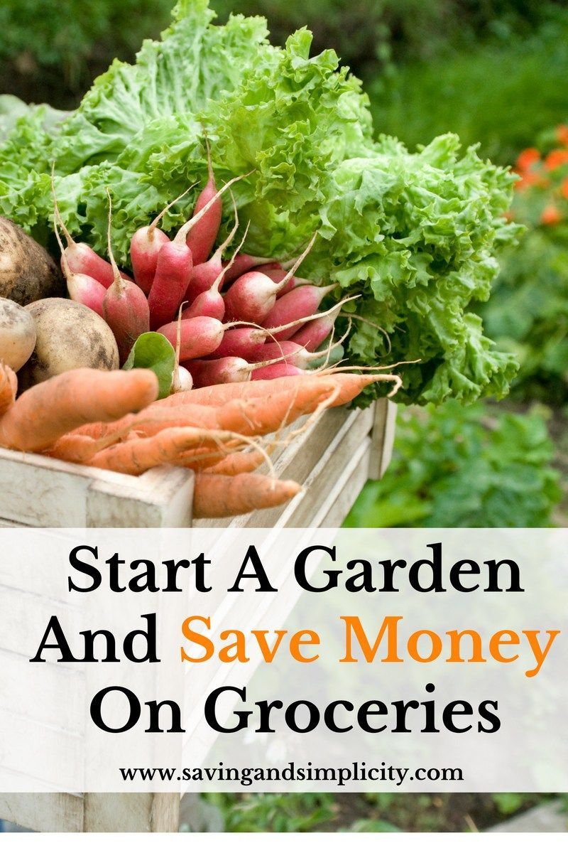 Do you have room for a window sill planter or do you have room for a large garden in your back yard? Learn how gardening can save