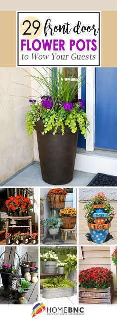 Front Door Flower Pot Ideas