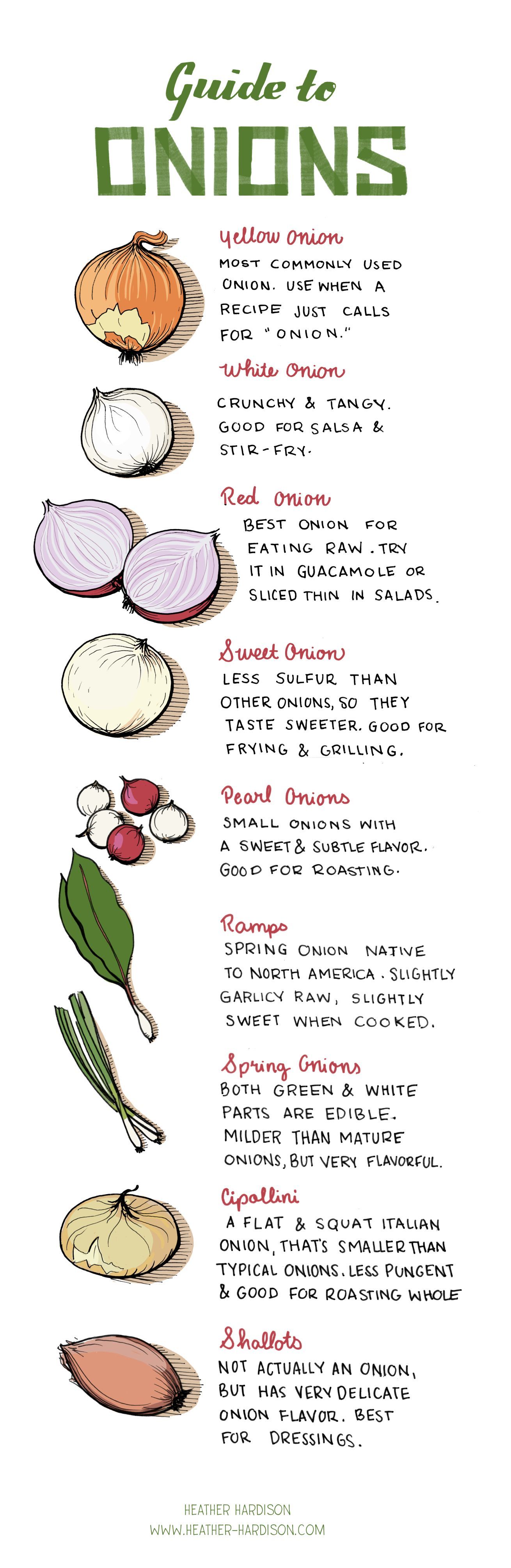 Guide to Onions | Cooking Tutorials | Cooking Tips