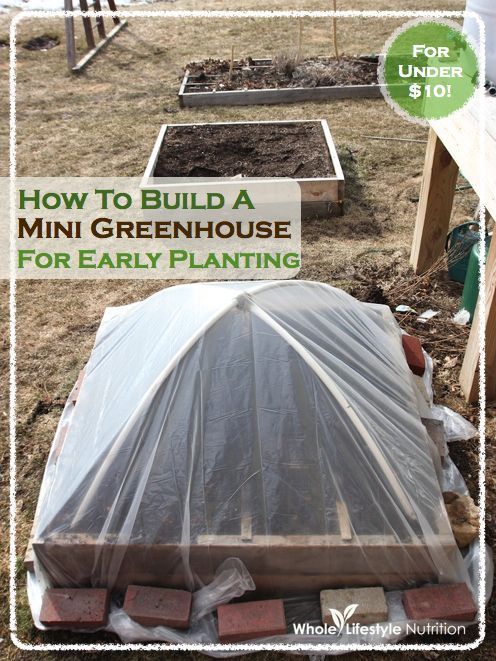 How To Build A Mini Greenhouse For Early Planting