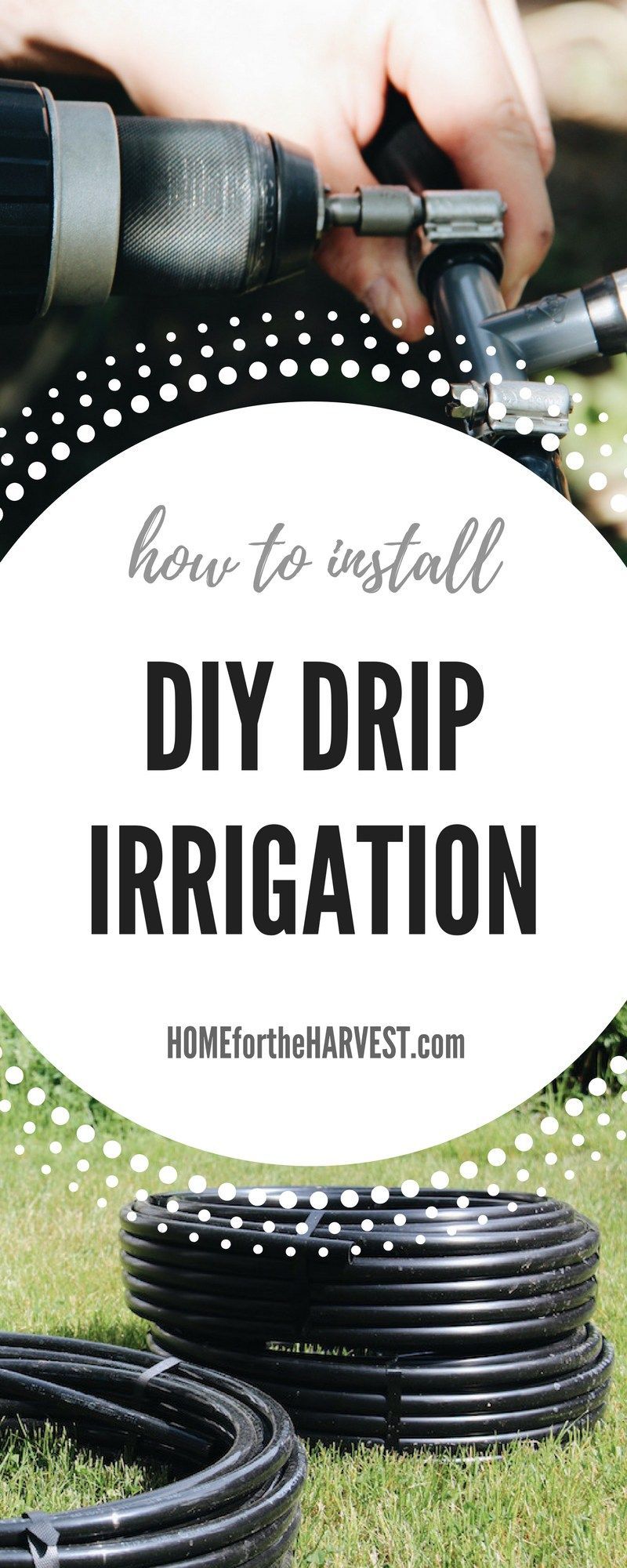 How to Install DIY Drip Irrigation – Tutorial and Free Printable | Home for the Harvest