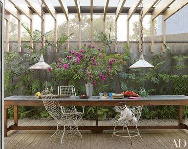 Jack, a Brazilian terrier, is at home in one of the garden rooms of this Isay Weinfeld–designed Brazilian villa, where vintage