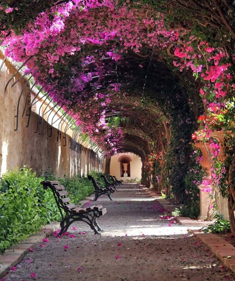 Jardines de Monforte, Valencia… una auténtica maravilla