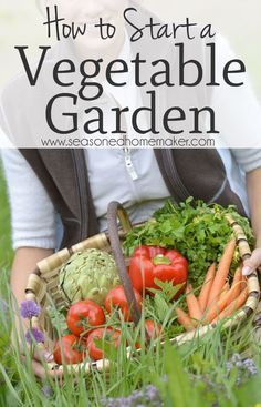 Nothing is more DIY than a vegetable garden. The first thing you need to know is anyone can have a green thumb. It’s really all