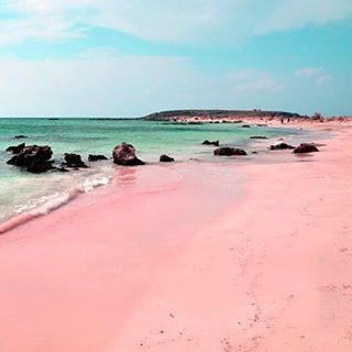 Pink sand on Ellafonisi Beach, Crete, Greece. Pink sand is formed of tiny red organisms that grow on dead coral reefs and pieces
