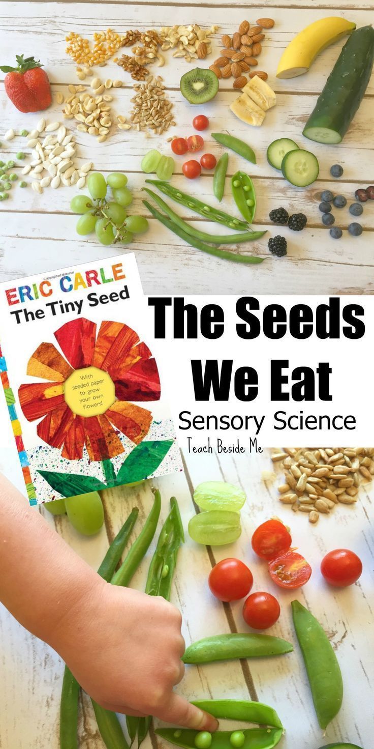 Sensory nature science for kids- The Seeds We Eat. Great for Eric Carles Tiny Seed book. via /karyntripp/