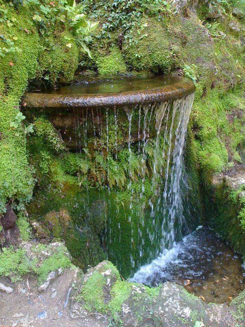 Spillover water fall…into a pondless basin? Plan it, do it.