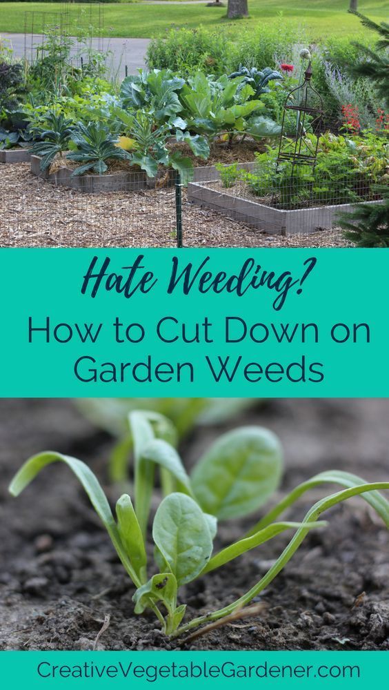 Weeding is a complete waste of time. Heres how to do less of it.