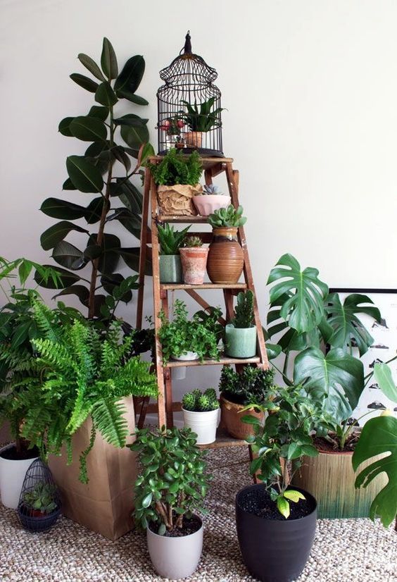40 Smart Mini Indoor Garden Ideas