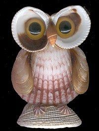 awh! a seashell owl!! http://www.manandmollusc.net/beginners_uses/image_files/owl1.jpg