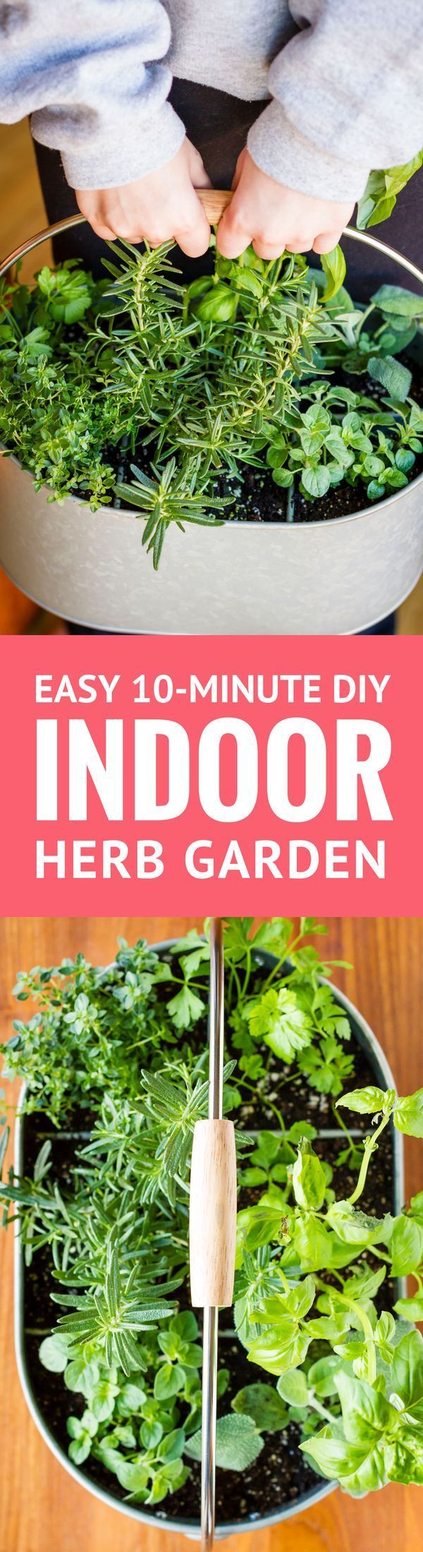 Create a simple DIY indoor herb garden in under 10 minutes!
