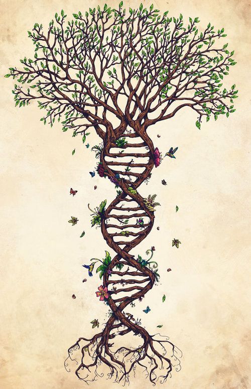 Dna + Trees + roots – does anything get any more representative of THE SOWING?