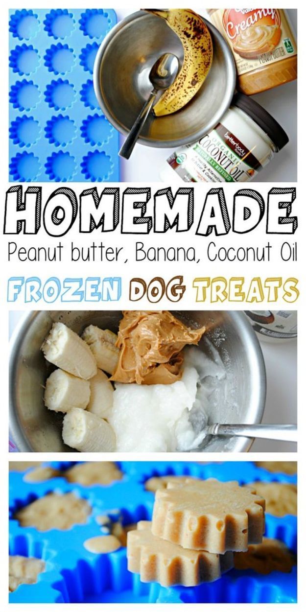 Homemade Frozen Peanut Butter Banana Coconut Oil Dog Treats | 17 Healthy Homemade Pet Food Recipes and Treats