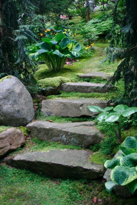 I love this all the way, but I live in a much drier, hotter, sunnier location. I love the color and style of stone steps, love the