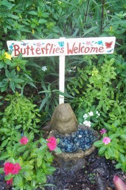 I love to decorate my garden with signs. My butterfly garden has a sign which says “Butterflies Welcome”. It adds color and