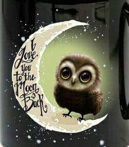I love you to the Moon and Back Owl ~