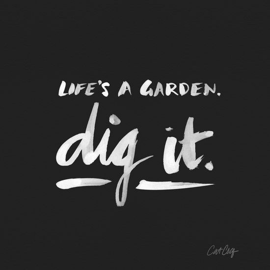 Life’s a garden, dig it society6.com/…