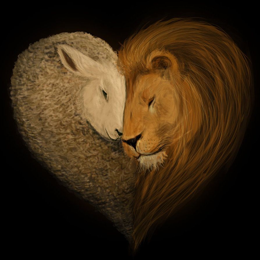 Lion and Lamb. Interesting. I like the style but I dont think Id get them both tattooed to myself.