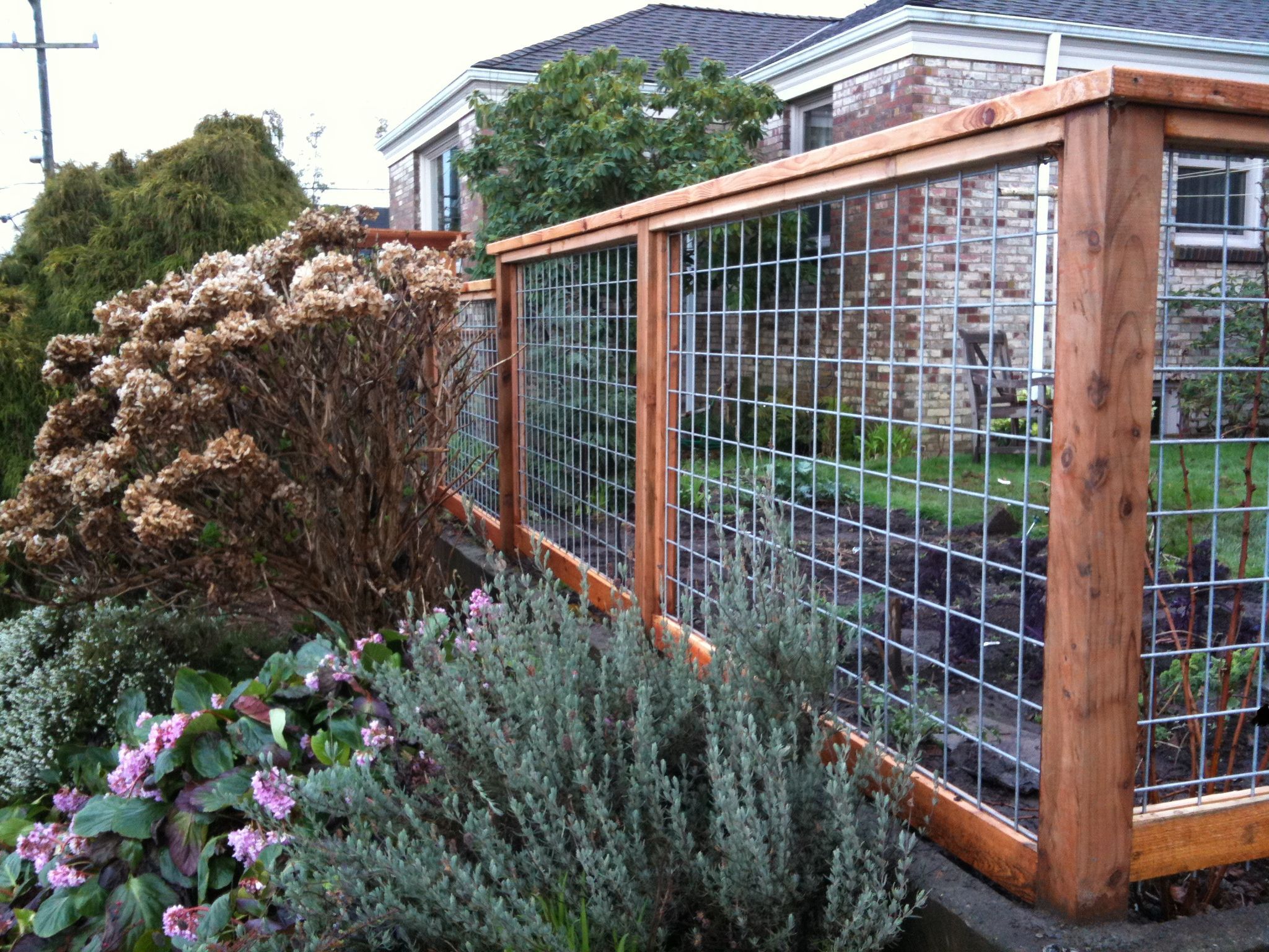 Love this fence … the wire panels are available at your local Tractor Supply. We used what is called as Hog Panels” 16×4