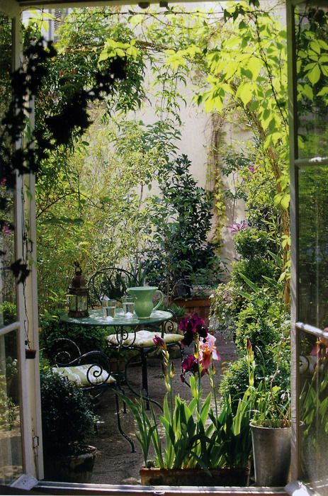 Note how layering plants with different leaf textures and shapes create lots of interest in this small courtyard garden.